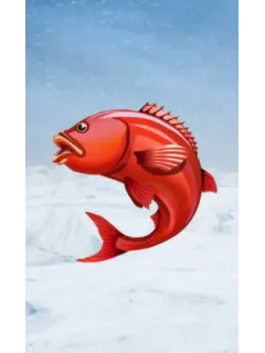 Ice Fishing